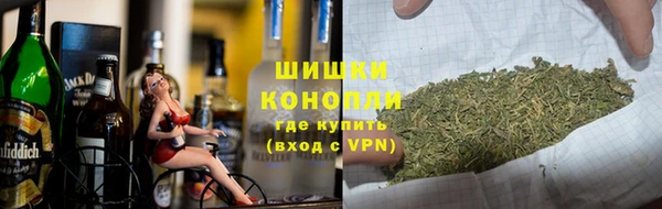 ПСИЛОЦИБИНОВЫЕ ГРИБЫ Богданович