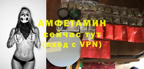 ПСИЛОЦИБИНОВЫЕ ГРИБЫ Богданович